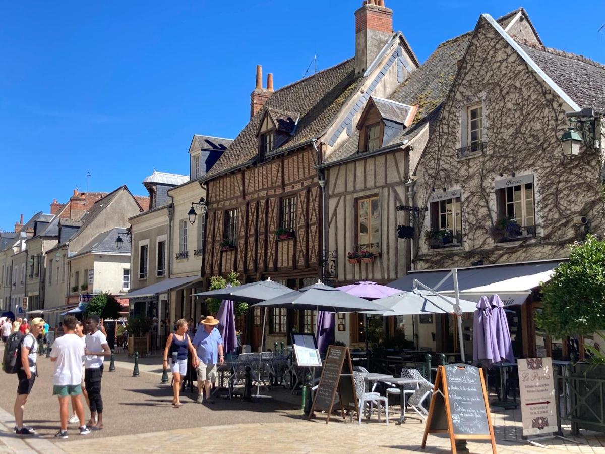 L'Amboisienne, Au Pays Des Chateaux Amboise Exterior foto